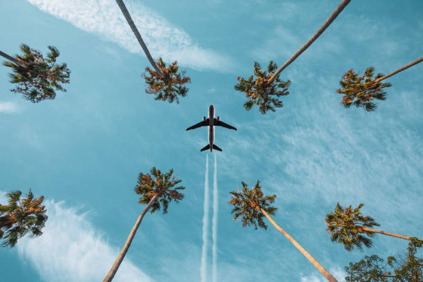 voyage avion